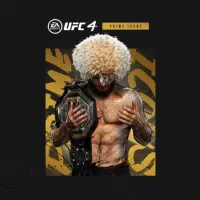 UFC 4