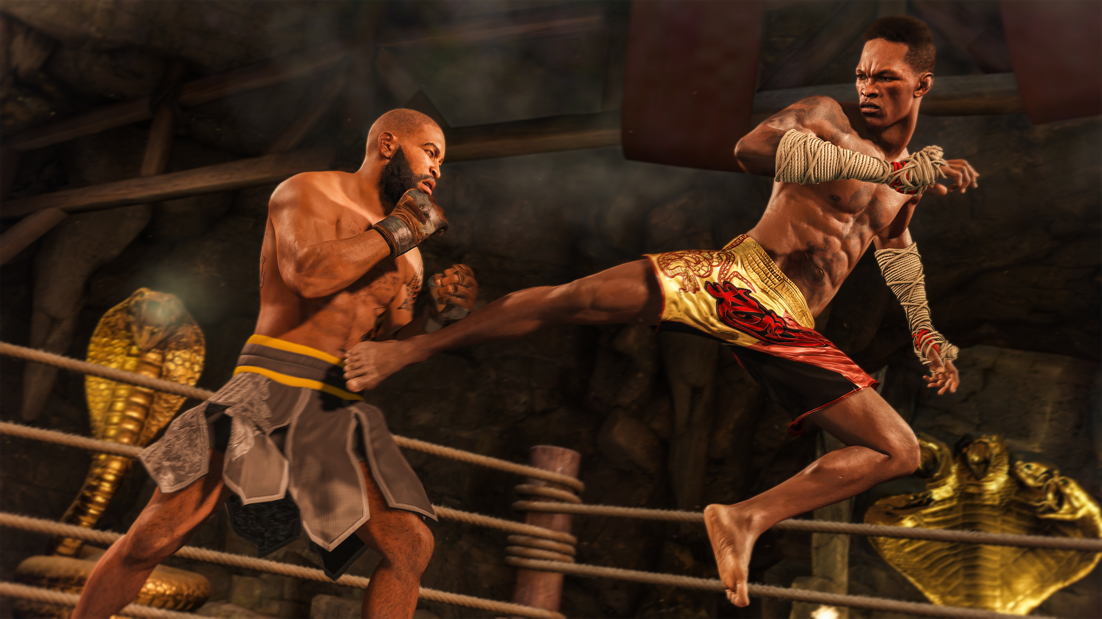 Аренда и прокат UFC 4 для PS4 и PS5