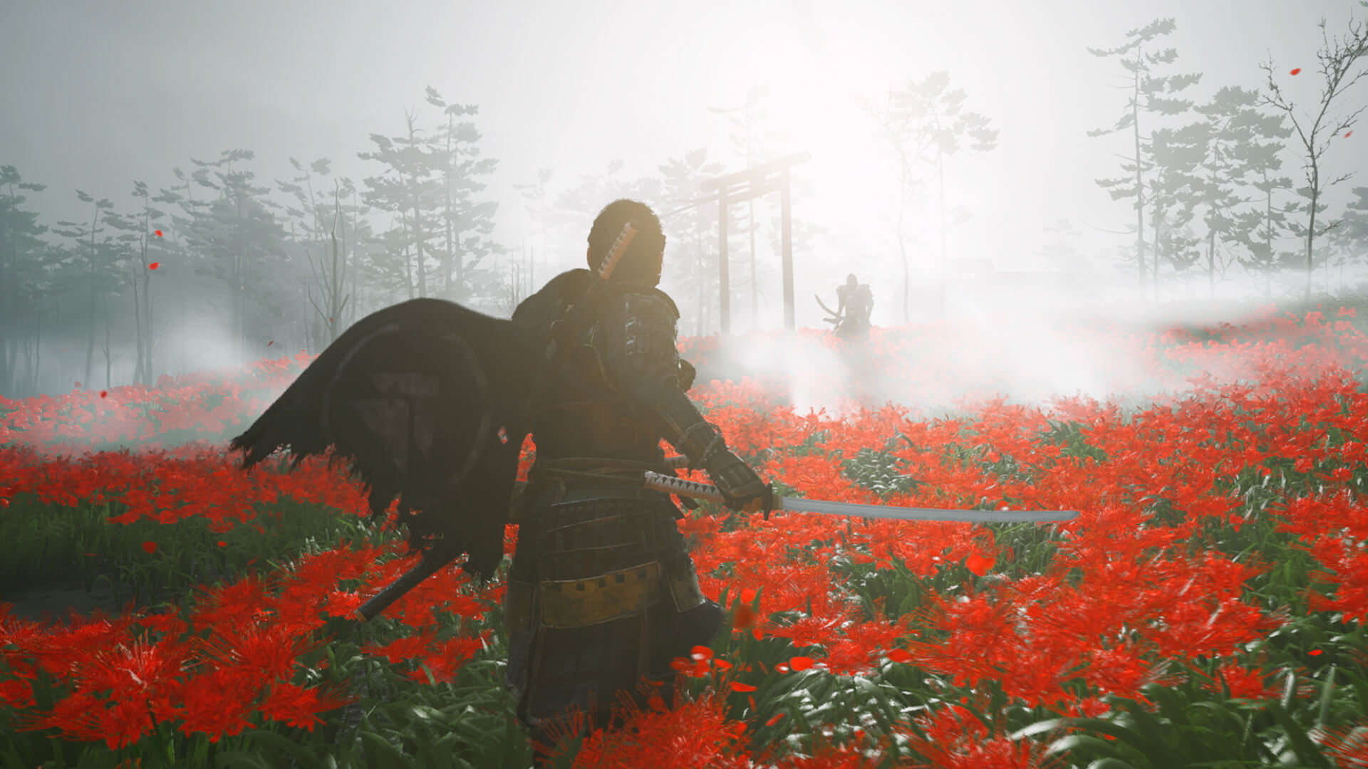 Аренда и прокат Ghost of Tsushima (Призрак Цусимы)  для PS4 и PS5